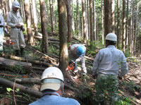 森林と市民を結ぶ全国の集い2012 in 神々の国・島根